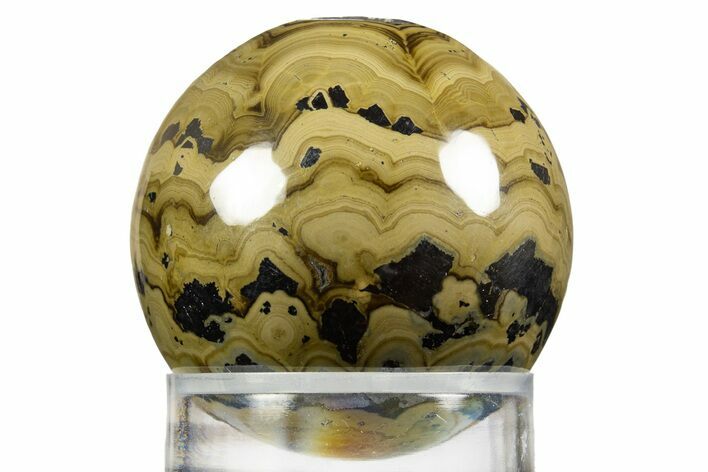 Polished Schalenblende Sphere - Poland #336531